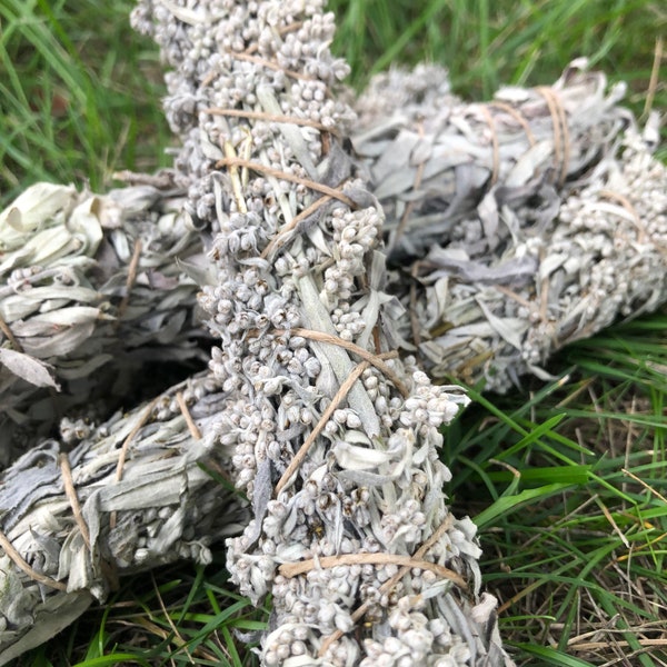 Prairie Sage ( Artemisia ludoviciana ) Smudge Stick *FRESH*