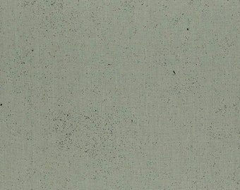 Spectrastatic 2 - Perfect Gray - by Giucy Giuce for Andover - A-9248-C1