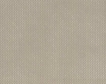 Cotton + Steel