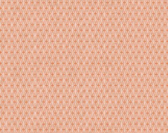 CANVAS MISHMESH in Sherbet - by Cotton+Steel Basics - CS102-SH11C
