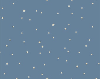 Starry Whispers Mist - Coyote Hill - by Art Gallery Fabrics | AGF