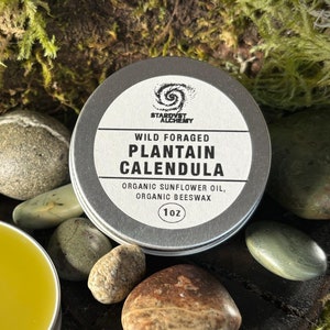 Wildcrafted Plantain and Calendula Salve - 1oz. - Organic Sunflower Oil - Organic Yellow Beeswax