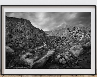 Big Bend Art, Big Bend National Park poster, Big Bend Photography, Grapevine Hills Trail, National Park gift, Texas art print, Desert decor