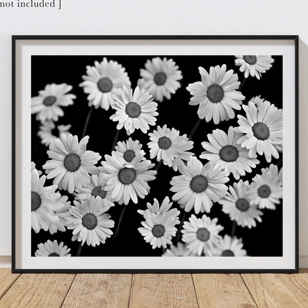 Black and White Flower Photo Prints Etsy