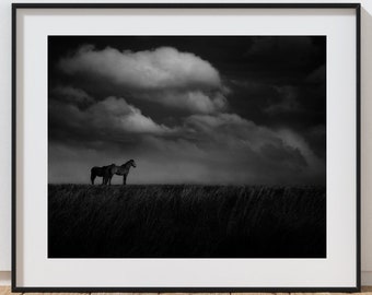 Modern Southwestern Art Print, Horse Print, Landscape Photography, Black and White Photography, Horse Art, Southern Plains Art, Texas Art