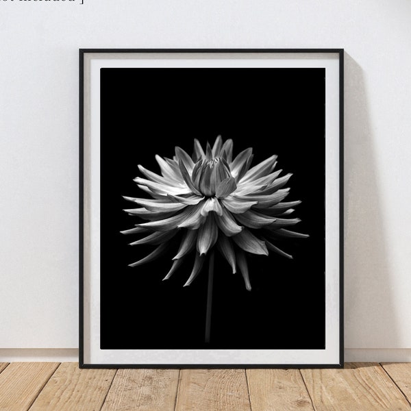 Cactus Dahlia Art Print, Black and White Desert Flower Art Print, Floral Photography, Southwestern Desert Decor, Fine Art Photography Print