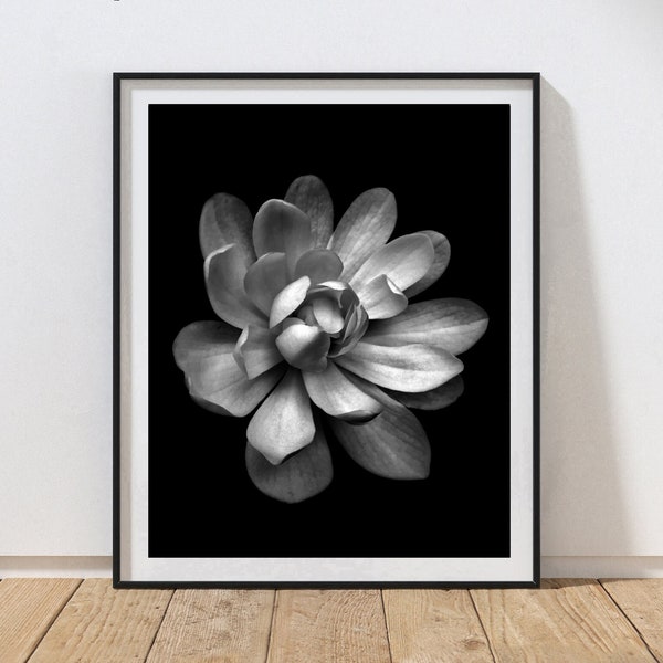 Magnolia Flower Print, Magnolia Photography, Magnolia Art Canvas, Black and White Poster Photography, Flower Print Wall Art, Timeless Art