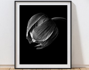 Black and White Photography Print, Anemone Flower Art Print, Minimal Wall Art, Minimalist Decor, Flower Art for Wall, Black and White Floral