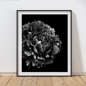 Peony Print Flower Art Fine Art Photography Black and White Floral Art Botanical Art Print Peonies Artwork Peony Art Black Floral Print
