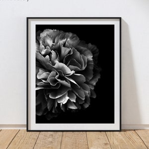 Peony Photography Peony Art Print Black and White Photography Wall Art Flower Print Living Room Wall Decor Peony Artwork Floral Prints
