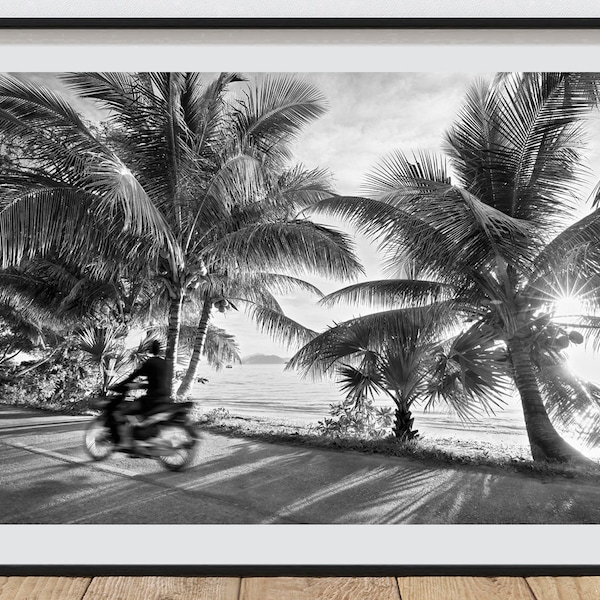 Palm Tree Print Landscape Black and White Photography Horizontal Beach Art Print Tropical Wall Art Tropical Home Decor Beach House Art Print
