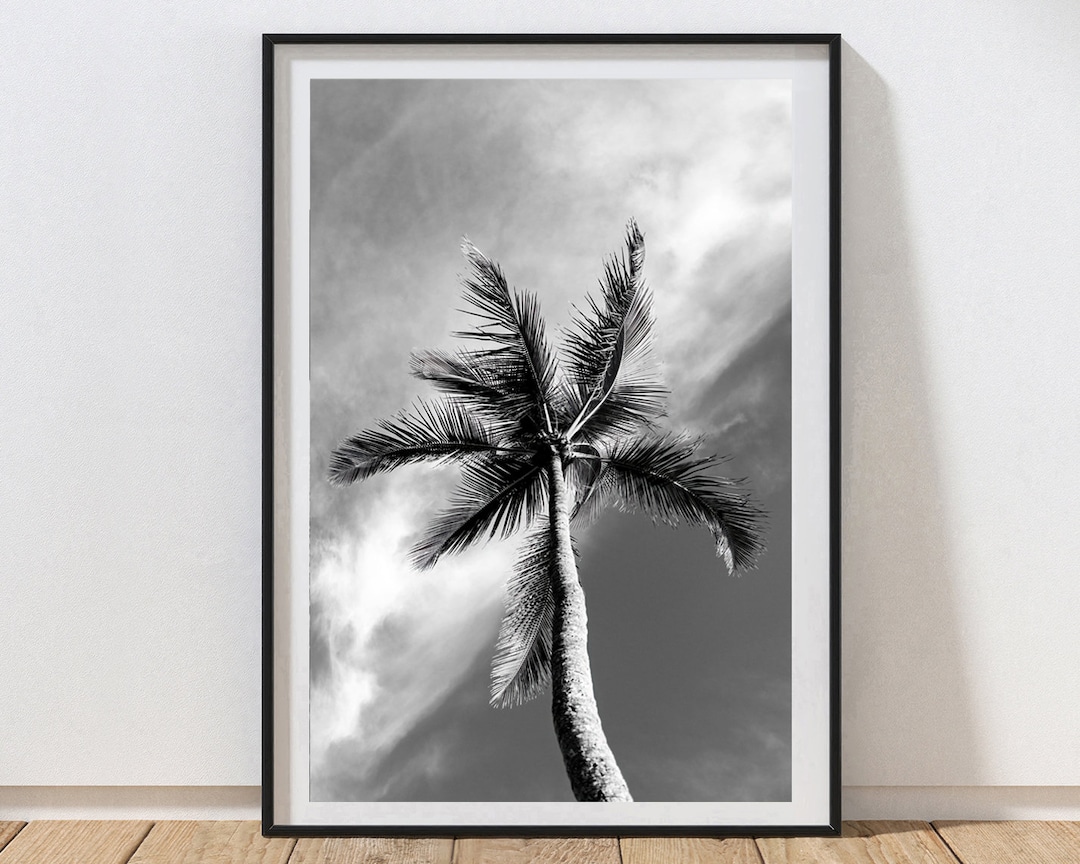 Black and White Photography Palm Tree Print Coastal Home Decor Beach ...