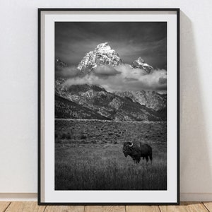 Teton National Park Print Black and White Photography Vertical Art Print Fine Art Print Bison Wall Art Grand Tetons Wyoming Mountain Print