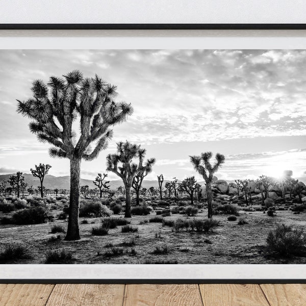 Fine Art Print Joshua Tree Photography Print Desert Wall Art Joshua Tree National Park Poster Black and White Photography Boho Living Room