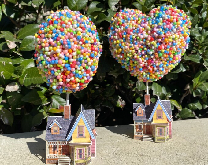 Mini up House With Balloons Etsy
