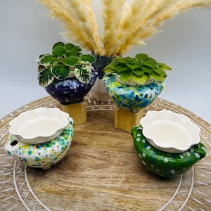 May include: Four small ceramic pots with colorful speckled glaze. The pots are filled with plants and are arranged on a wooden tray with a white geometric pattern.