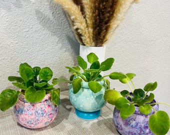 Hand Painted Self Watering Planter – 4" African Violet Pot - Pot for Indoor Plant