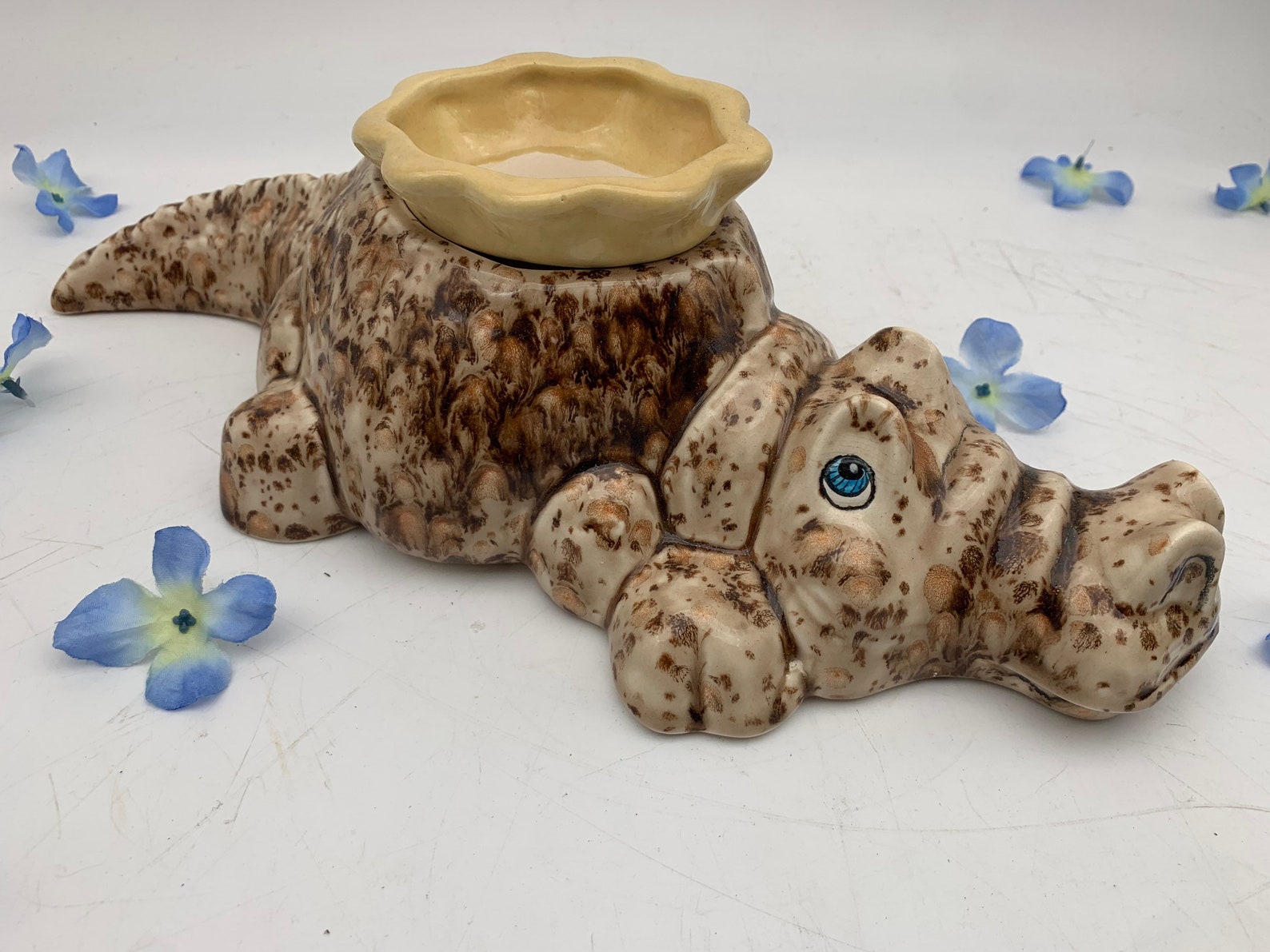 Alvin the Self Watering Alligator Planter African Violet Pot Etsy