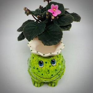 African Violet Pot Mini Self Watering Pot Miniature Planter Fun Frog Planter Unique Gift 6 Color Options IN STOCK image 3