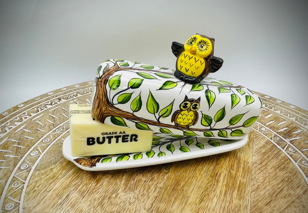 Owl Ceramic Butter Dish With Lid Colorful Butter Dish Owl Kitchen Owl Lover Unique Gift Etsy