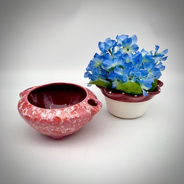 Medium Self Watering African Violet Pot Planter Etsy