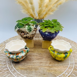 May include: Four small ceramic planters with different patterns and colors. The planters are filled with small green plants and are sitting on a wooden tray with a white design.