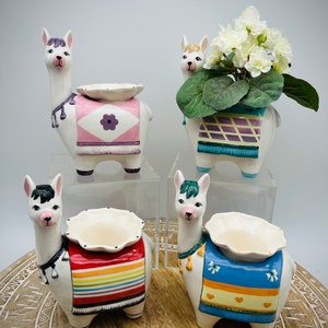 African Violet Pot - Miniature - Llama Self Watering - African Violet Pot - Planter -  Unique Gift - Fun Colored Pot