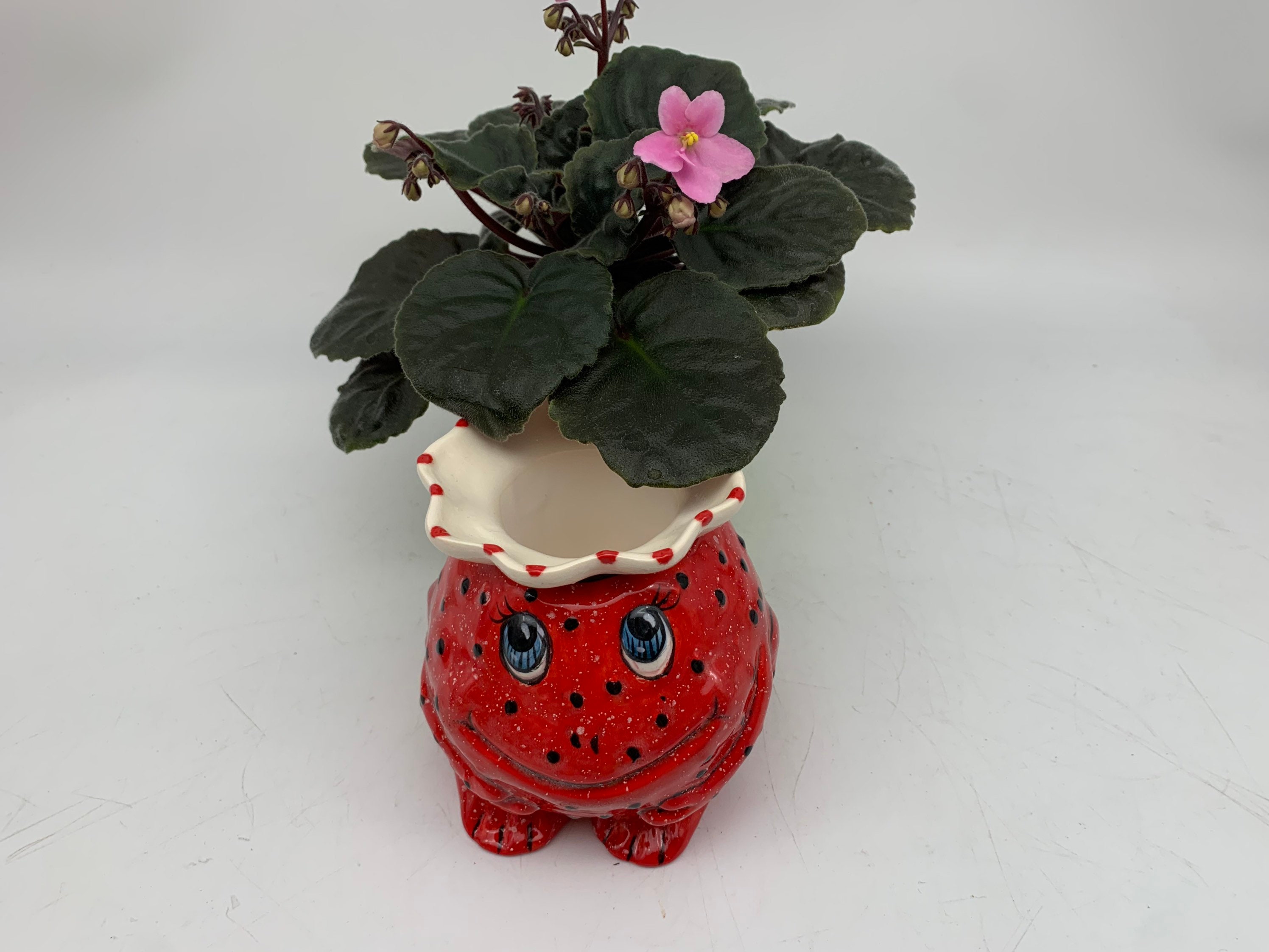 Mini Miniature Self Watering African Violet Pot Etsy