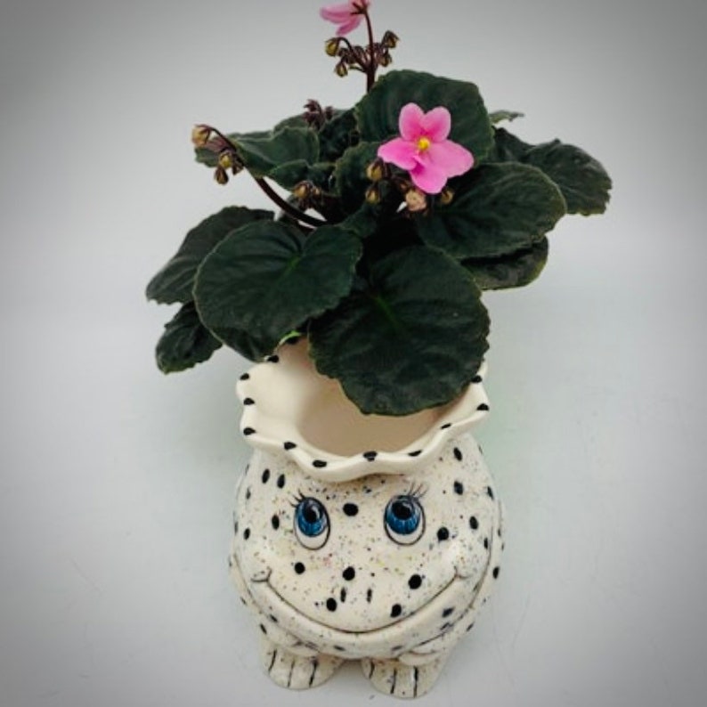 African Violet Pot Mini Self Watering Pot Miniature Planter Fun Frog Planter Unique Gift 6 Color Options IN STOCK image 2