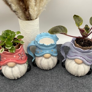 May include: Three ceramic gnome planters with a white beard and a colorful hat. Each planter has a small plant growing inside. The planters are blue, pink, and purple.
