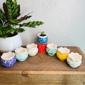 May include: Seven small, white ceramic flower pots with scalloped edges. Each pot has a different colorful floral pattern. The pots are arranged in a row on a wooden shelf.
