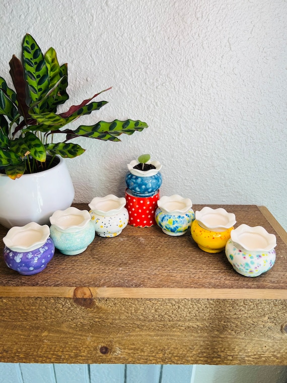 African Violet Pot for Leaf Propagating, Teensy Weensy Pot, Indoor Planter, Self Watering, African Violet Pot, Mini, Unique Gift, IN STOCK