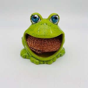 Dependable Industries Kitchen Sponge Holder Bathroom Vanity Green Frog  Shape Novelty Includes Sponge and Clear Gift Box 