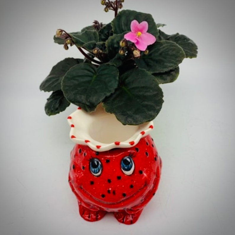 African Violet Pot Mini Self Watering Pot Miniature Planter Fun Frog Planter Unique Gift 6 Color Options IN STOCK image 4