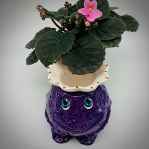 African Violet Pot Mini Self Watering Pot Miniature Planter Fun Frog Planter Unique Gift 6 Color Options IN STOCK image 5