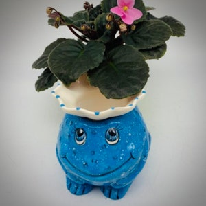 African Violet Pot Mini Self Watering Pot Miniature Planter Fun Frog Planter Unique Gift 6 Color Options IN STOCK image 7