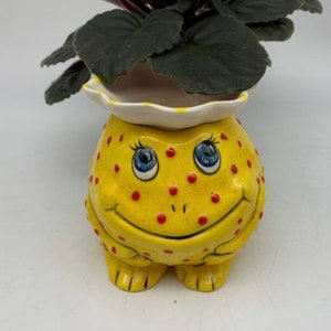 African Violet Pot Mini Self Watering Pot Miniature Planter Fun Frog Planter Unique Gift 6 Color Options IN STOCK image 6