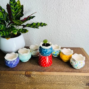 May include: A collection of eight small, colorful, ceramic pots with scalloped edges. The pots are decorated with polka dots, flowers, and other patterns. The pots are arranged on a wooden shelf.