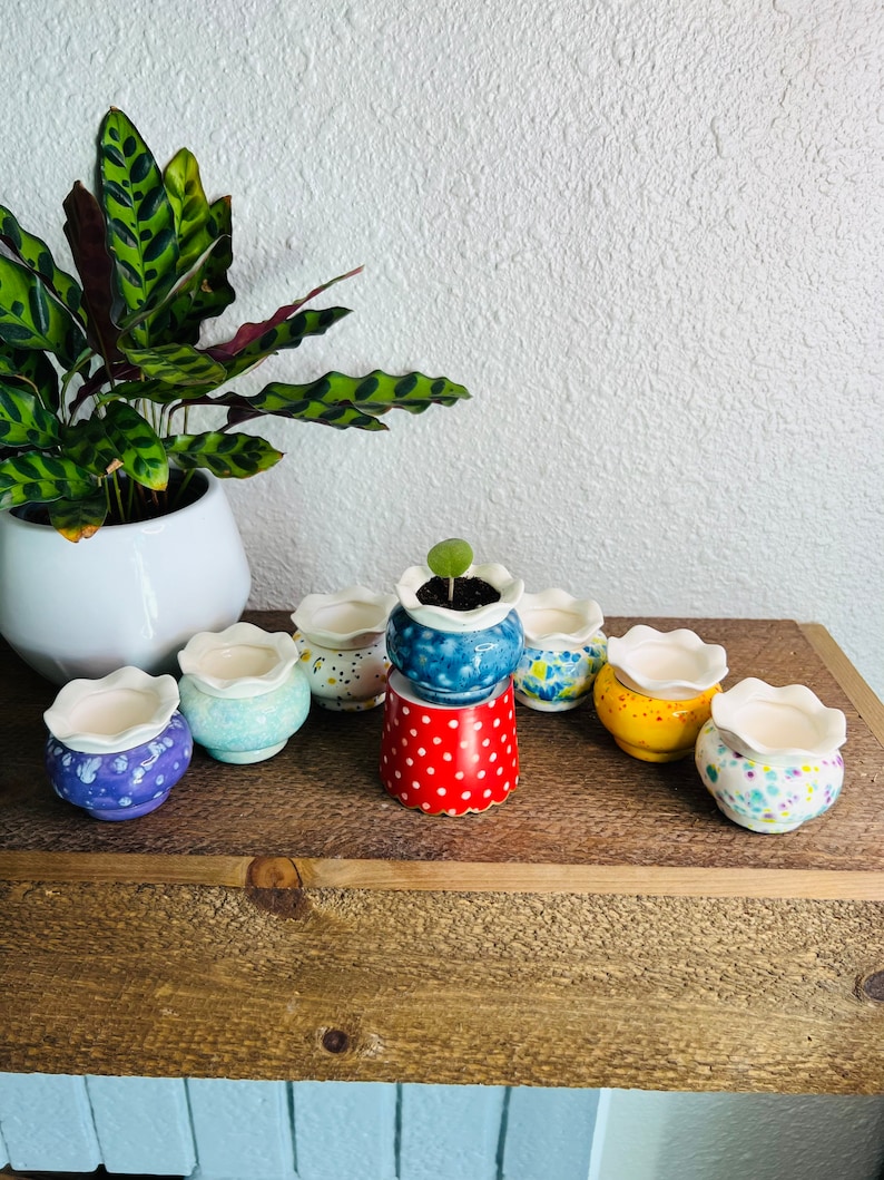 May include: A collection of eight small, colorful, ceramic pots with scalloped edges. The pots are decorated with polka dots, flowers, and other patterns. The pots are arranged on a wooden shelf.