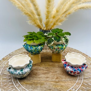 May include: Four small ceramic pots with a speckled glaze in shades of blue, green, red, and white. The pots are arranged on a wooden tray with a decorative pattern. Two of the pots have small plants growing in them.