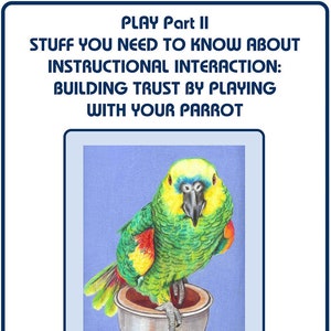 Play Part Ii Instructional Interaction Building Trust Etsy