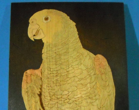 Beautiful Double-yellow head Amazon Parrot Pyrography Portrait