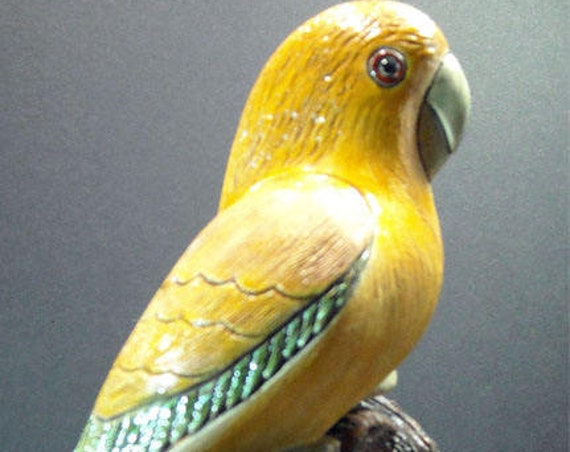 Very Rare Prototype Artesania Rinconada Golden Conure or Queen of Bavaria Conure 1 of only 12 made