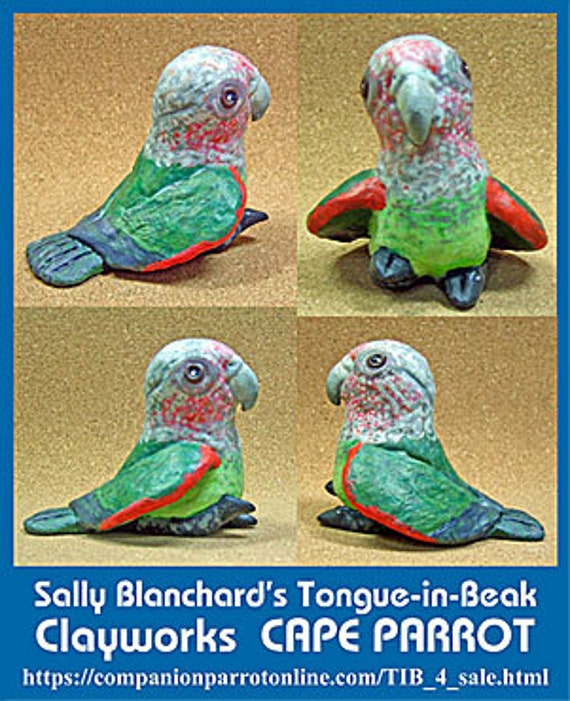 CAPE PARROT Tongue-in-Beak Mini-gem by Sally Blanchard