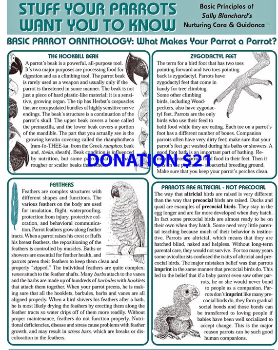 DONATION 21 dollars to Sally Blanchard's Companion Parrot Educational Endeavors receive 6 page What Make a Parrot a Parrot .pdf