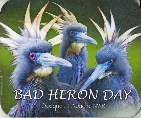 Computer Mouse Pad Bad Heron Day Bosque del Apache NWR