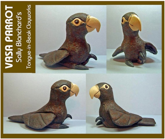 VASA PARROT - An Original One of a Kind Sally Blanchard Tongue-in-Beak Clayworks