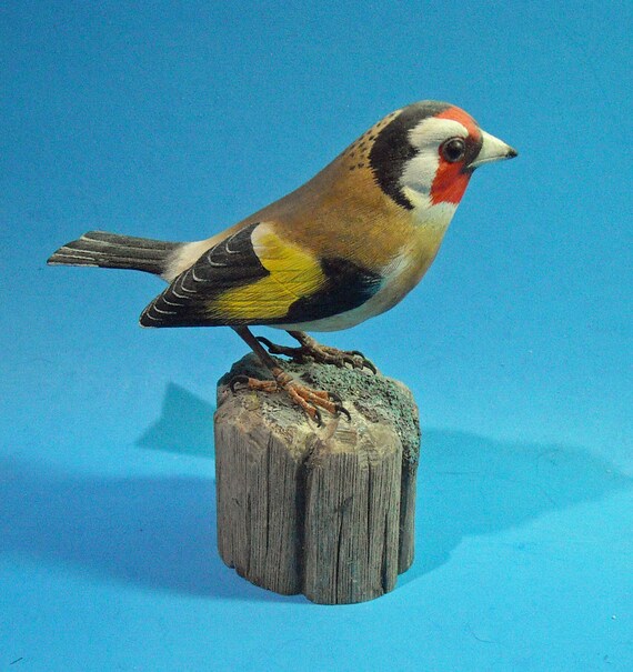 European Goldfinch Painted Wood Carving Wood Sculpture Sculpture by Bird Hug