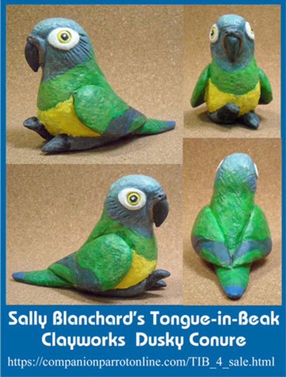DUSKY CONURE Tongue-in-Beak Clayworks Mini-gem Sally Blanchard