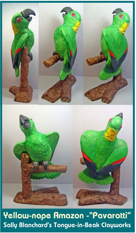 Pavarotti - Sally Blanchard Original One of a Kind Tongue-in-Beak Clayworks Yellow-nape Amazon